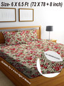 RisingStar Cotton Double Fitted (Elastic) 250 TC Printed 1 Bedsheet with 2 Pillow Covers