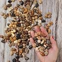 Royal Imports River Rocks, Aquarium Gravel – Natural 0.5"- 0.75" - 30 lbs