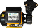 RIVORA PLUS FORCE 100 Centrifugal Water Pump (1 HP)