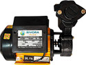 RIVORA PLUS FORCE 11 MASTER Centrifugal Water Pump (1 hp)