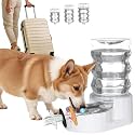 RIZZARI 6.5L Dog Water Dispenser: Filtered for Medium Dogs &amp; Workdays