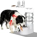 RIZZARI 9L Filtered Dog Waterer: Raised Design for Large & Senior Dogs