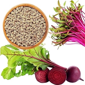 rk grow beetroot seeds for home gardening  suitable for pots grow bags amp kitchen garden 50 seeds pack premium high germination