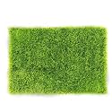 Anti Skid Doormats for Home and Office