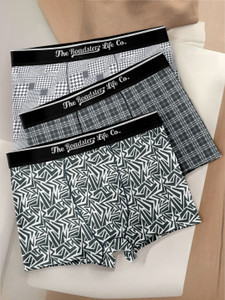 Roadster Men Brief