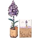 ROBOTIME Wooden Flower 3D Puzzle TW021 Lilac, Purple Gifts Idea, 30-Minute Crafts for Adults &amp; Teens, Artificial Flower Decorations, Birthday/Valentine's Day