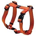 Rogz Utility Medium 5/8-Inch Reflective Snake Adjustable Dog H-Harness