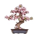 Rolife 3D Wooden Puzzle Flower for Adults, DIY Sakura Bonsai Tree Plants for Home Table Decor, Creative Cherry Blossom Crafts Birthday Model Building Kits Toys