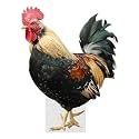 Rooster - Life Size Cardboard Cutout Standup People with Support Standee | Animals -2