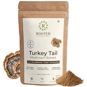 rooted active39s turkey tail organic mushroom powder pouch 45 grams 30 servings immune support ayurveda nootropic supplement beta-glucans gut health amp holistic defense mushroom supplement