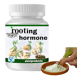 rooting hormone powder for plants cuttings400gm  promotes rooting and growth  new plants from cuttings