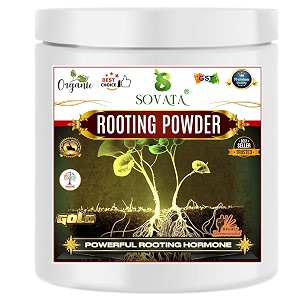 rooting powder powerful organic root hormone fertilizer for fast growth of roots in plants cuttings 100 gm