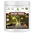 Rooting Powder, Powerful Organic Root Hormone Fertilizer for Fast Growth of Roots in Plants Cuttings. (200 gm)