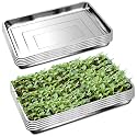 RooTrimmer 10 Pack Large Stainless Steel Seedling Trays, Heavy Duty Metal Water Catch Trays for Nursery Pots Transplant, Seed Germination & Propagation Flats (17.5 inch×13.56 inch, 1.18" Height)