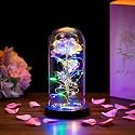 Preserved Flowers, Rose Gift Artificial Flower Light up Rose, Rose in Glass Dome, Personalized Gifts for Mom, Sisters, Friend, Women (Leaf Rose)