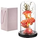 Preserved Flower Gift, Light Up Rose in Glass Dome, Eternal Forever Rose Flower Gifts for Her Valentine’s Day, Anniversary, Birthday, Christmas Decorations, Rose Pink (Pack OF 1) (3 Flower Rose)