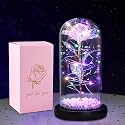 Plastic Preserved Light Up Rose in Glass Dome - Artificial Flower Gift for Mom, Sisters, Friend, Women (Beans Rose)