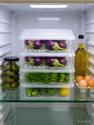 Rosebee Plastic Fridge Container - 2400