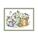 Rosyfoxes Cross Stitch Kits Stamped Full Range of Embroidery Starter Kits for Adult DIY- Printed kit Bird and Kettle (Printed) 11ct 3-strands16.9×13 inches