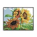 Rosyfoxes Cross Stitch Kits Stamped Full Range of Embroidery Starter Kits for Adult DIY- Printed kit Sunflowers in Wind (Printed) 11CT 3-Strands 24×18.9 inches
