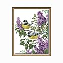 Rosyfoxes Cross Stitch Kits Stamped Full Range of Embroidery Starter Kits for Adult DIY- Printed kit Two Birds 3 (Printed) 11ct 3-Strands 18.5×23.2 inches