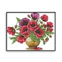 Rosyfoxes Cross Stitch Kits Stamped Full Range of Embroidery Starter Kits for Adult DIY- Printed kit Poppy Flower vase(Printed) 11ct 3-Strands 20.5×16.5 inches