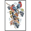 Rosyfoxes Cross Stitch Kits Stamped Full Range of Embroidery Starter Kits for Beginners DIY - Printed kit Birds' Twitter and Fragrance of Flowers (5)(Printed) 14CT23.2×21.7inches