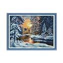Rosyfoxes Cross Stitch Kits Stamped Full Range of Embroidery Starter Kits for Adult DIY- Printed kit Sunset Snow(Printed) 14ct 2-Strands 29.1×22 inches