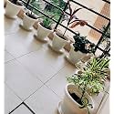 Round Bottom Tray(Plates/Saucer) Suitable for 10 Inch and 12 Inch Round Plastic Pot-Terracotta Color-Set of 10 Pieces (6 inch White Plate)