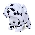 Rowan Fuzzbuzz Ms. Spotty Walking Dog | Interactive Animal Soft Toys for Kids Age 3Y+ | Birthday Gift for Kids | Stuffed Puppy Toys | Plush Animal Toy | Battery Operated Toy, White &amp; Black