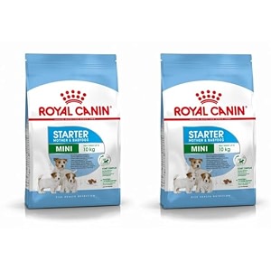 royal canin mini starter mother amp babydog food dry food supports complex natural defence amp digestive health provides gestationlactation support supports easy rehydration 4 kg pack of 2
