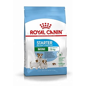 royal canin mini starter mother amp babydog food dry food 4 kg
