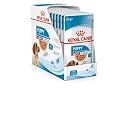 Royal Canin Medium Puppy for Stage 3 Puppies, Puppy Food, Wet Food, Supports Strong immunity System &amp; Brain Health, Promotes overall development, Pack of 10 Sachet 140 Grams