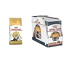 Royal Canin Persian Adult Dry Cat Food 4 Kg&amp;Royal Canin Intense Beauty Gravy Adult Cat Seafood, 85 g (12 Pack)