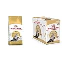 Royal Canin Persian Adult Dry Cat Food 2 Kg &amp; Adult Loaf Wet Cat Food 1.02 Kg