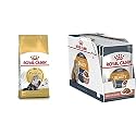 Royal Canin Persian Chicken Pellet, House-Cats, Adult 40, 2 kg&amp;Royal Canin Intense Beauty Gravy Adult Cat Seafood, 85 g (12 Pack)