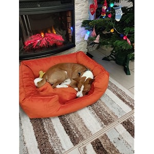 royal pets cart polyester dog bed amp cat bed orange color anti-skid bottom amp machine washablereversible-mediumsize-55x46x22 cm39s