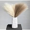 ROYAL SAPPHIRE 6 Pcs Faux Pampas Grass Small Fluffyrtificial Short Pompas Fake Dried Reed Branches (Cream&amp;Beige)
