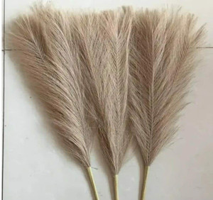Royal Sapphire Dried Pampas Grass For Wedding