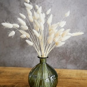 royal sapphire natural dried lagurus ovatus 30 pcs dried bunny tails pampas for flower arrangements wedding home decor white