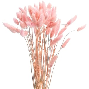 royal sapphire natural dried lagurus ovatus 30 pcs dried bunny tails pampas for flower arrangements wedding home decor pink
