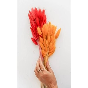 royal sapphire natural dried lagurus ovatus 30 pcs dried bunny tails pampas for flower arrangements wedding home decor combo
