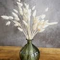 Royal sapphire Natural Dried Lagurus ovatus 30 Pcs, Dried Bunny Tails Pampas for Flower Arrangements Wedding Home Decor (White)