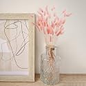 Royal sapphire Natural Dried Lagurus ovatus 30 Pcs, Dried Bunny Tails Pampas for Flower Arrangements Wedding Home Decor (Pink)