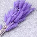 Royal sapphire Natural Dried Lagurus ovatus 30 Pcs, Dried Bunny Tails Pampas for Flower Arrangements Wedding Home Decor (Combo)