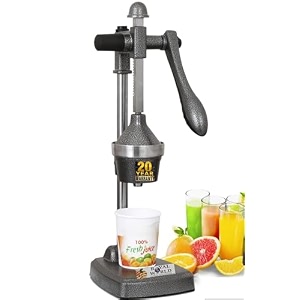 royal world aluminium juice machine hand press juicer antique silver