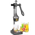 Royal World Aluminium juice machine hand press Juicer (Antique Silver)