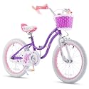 RoyalBaby Girls Bike Classic &amp; EZ Kids Bike, Balance and Pedal Bicycle, 12 14 16 18 20 Inch Toddlers to Big Kids 3-10 Years