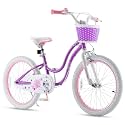 RoyalBaby Girls Bike Classic &amp; EZ Kids Bike, Balance and Pedal Bicycle, 12 14 16 18 20 Inch Toddlers to Big Kids 3-10 Years