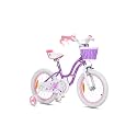 RoyalBaby Girls Bike with Training Wheels and Dual Handbrake，Stargirl Kids Bicycle 16 Inch Toddlers to Big Kids 4-7 Years, Star Purple